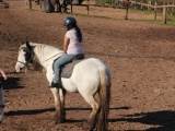 Tn IMG 1586
